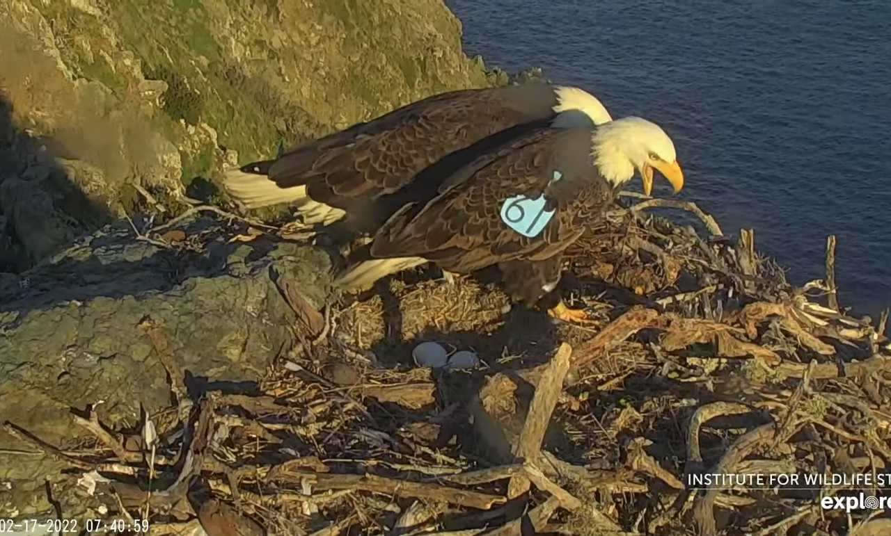 CCCC36FC-0DEC-46CA-8110-B6539356E649