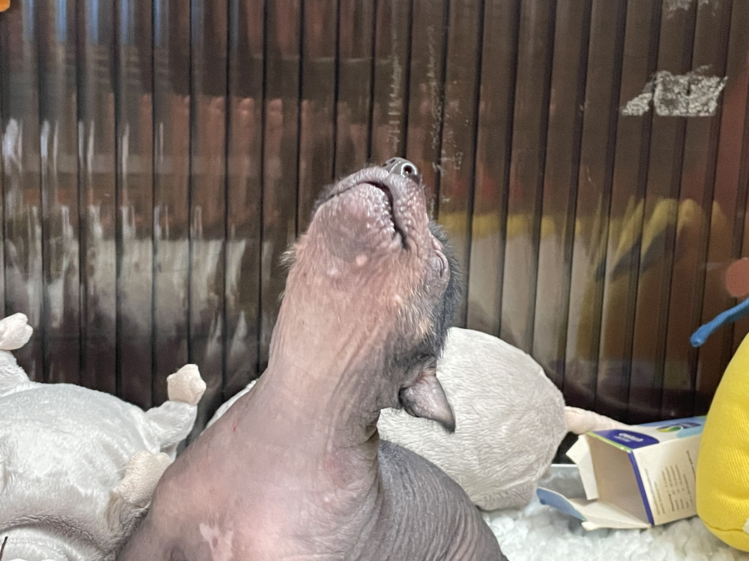 0BC54D47-4B83-44FF-BA0A-6C7DA2B8791D