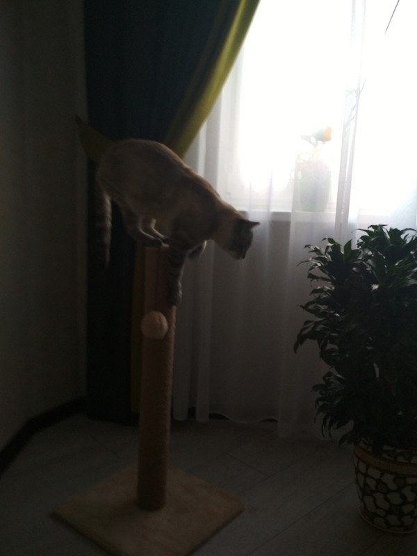 Шпингалет в новом доме2