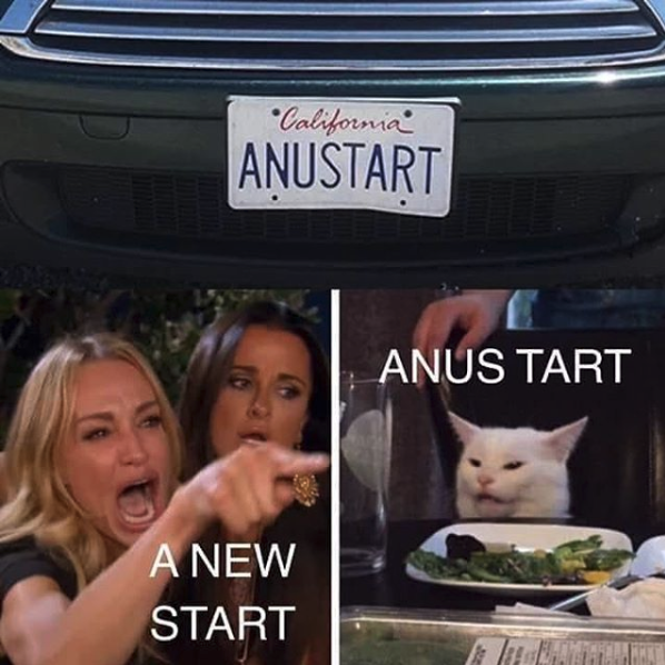Anus-Tart.png