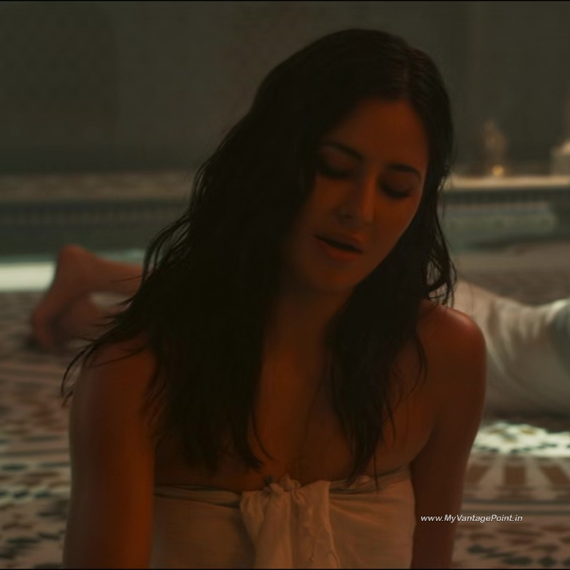 32-Katrina-Kaif-in-Tiger-3-2023-Movie-My-Vantage-Point