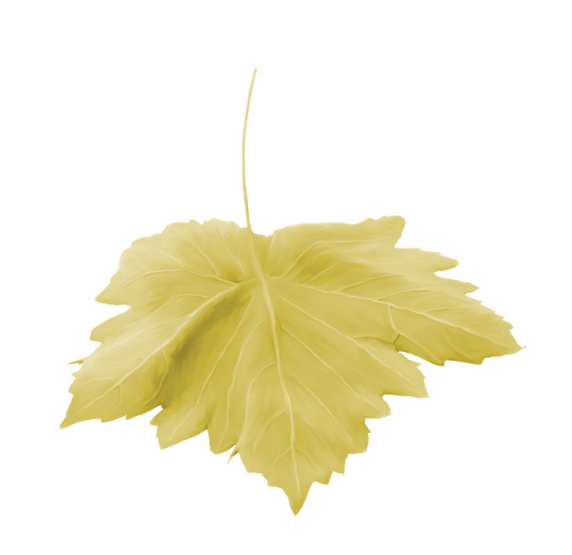 Maguette_NothingFades_el (32)