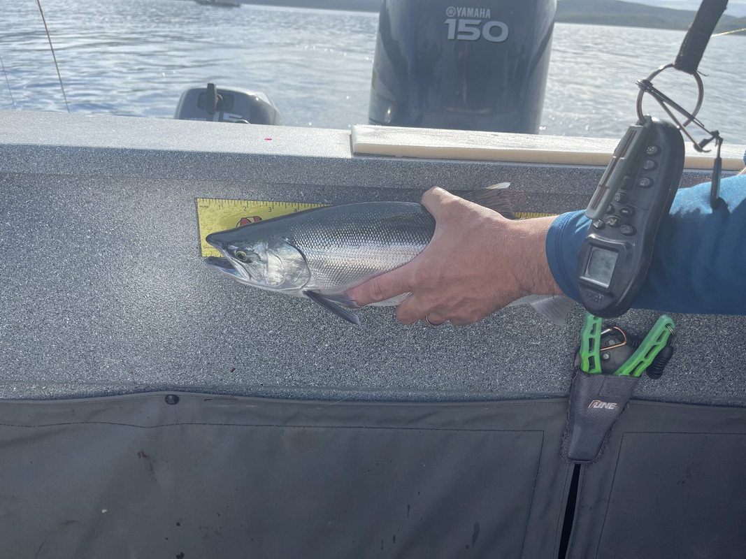 3067FD2A-1FDD-45BB-ADEE-2B0ABE7EAB1B