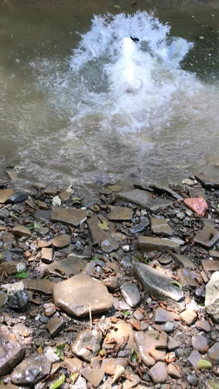 298FFCE8-740D-41A8-BCD9-D40D34E63A6F