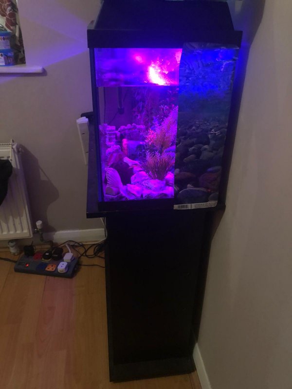 18E7C46C-8271-468E-94F2-B23E76E3A6DA