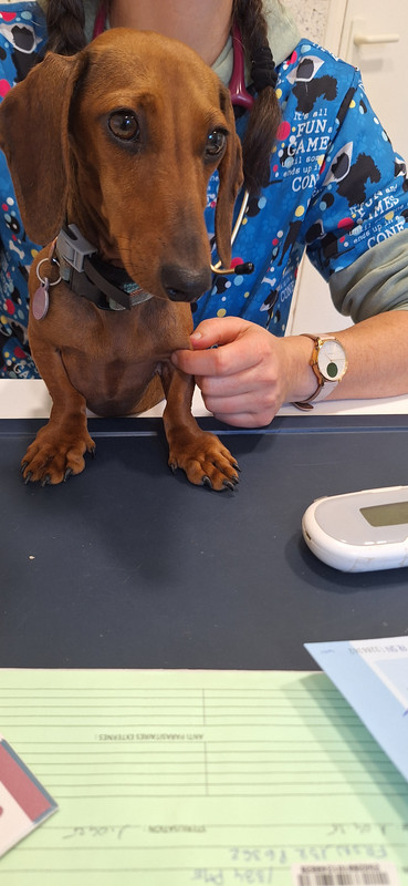 [Image: 20251007-164600.jpg]