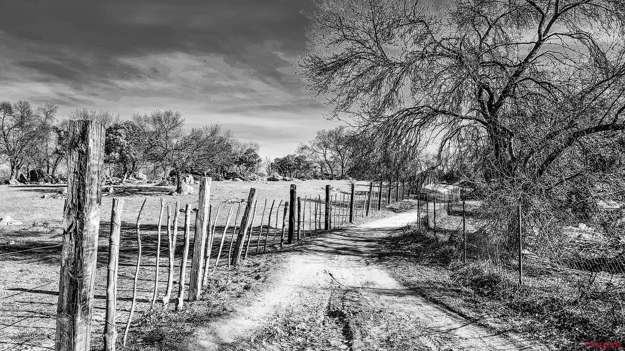 blacknwhite-fence-path.jpg