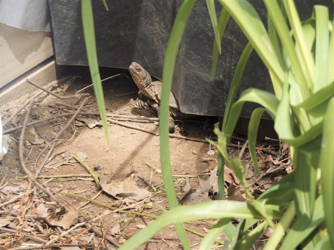 DSCF7295-2.jpg