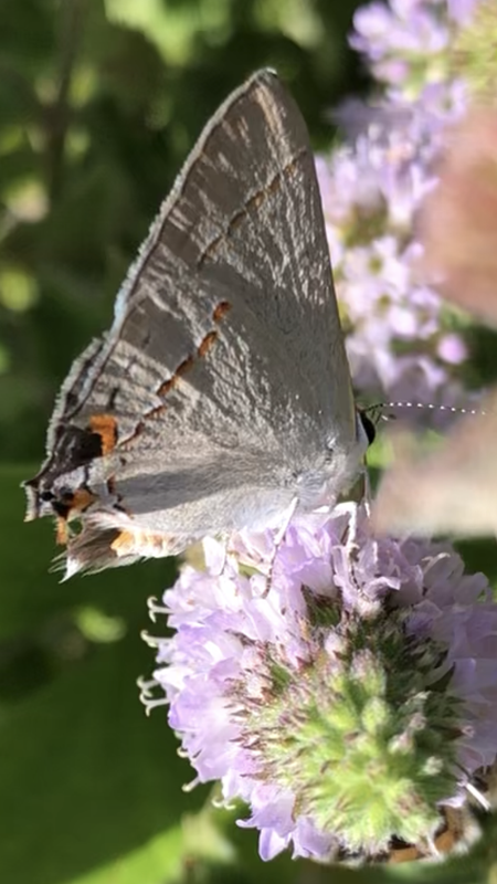 B2F7B90B-3715-4FCC-81D6-63EC05F175EB