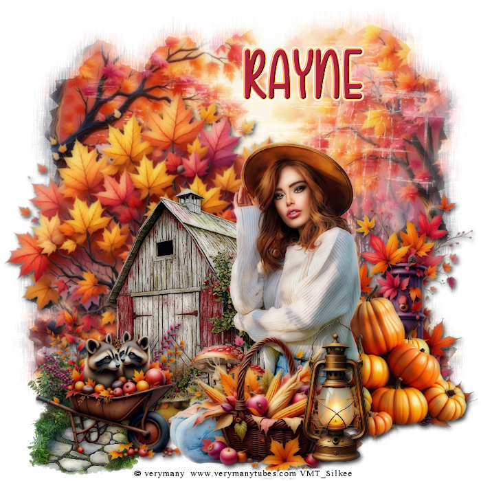 3countryfalltagrayne