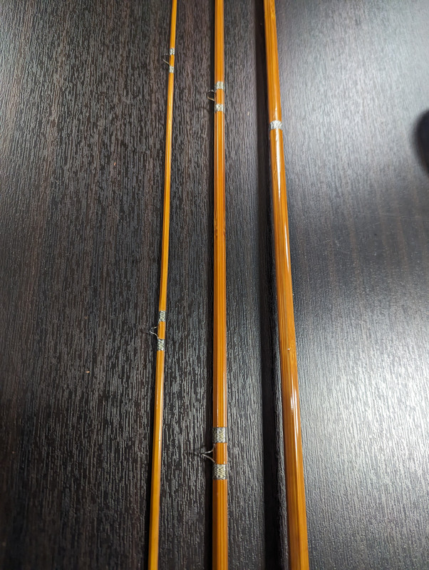 PXL_20240119_224638874.MP