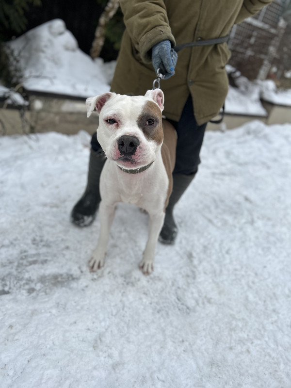 9527A465-B52D-4BF2-A292-2059E8D89E03