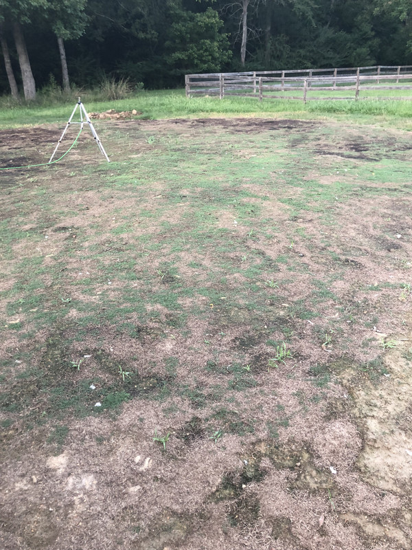 8AC56AD1-46E5-4E40-B91C-C536A4C59B2F