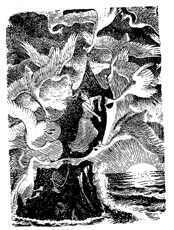 [Hết] Hình ảnh cho truyện cổ Grimm và Anderson  - Page 34 Wild-swan-172