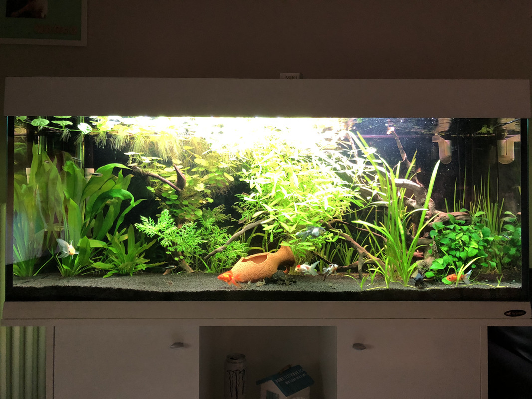 90A12874-0142-48C7-8625-565C49C90A83