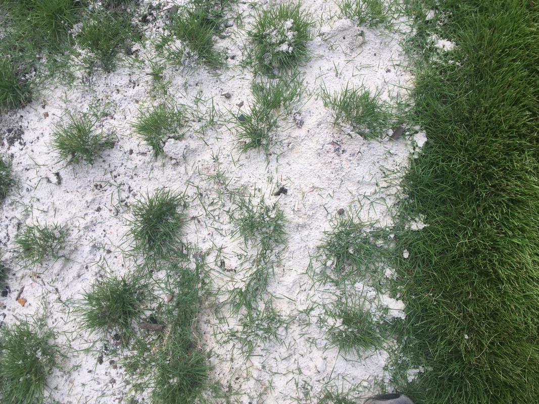 83D55C23-CD37-45DA-B957-4939A5CA233B