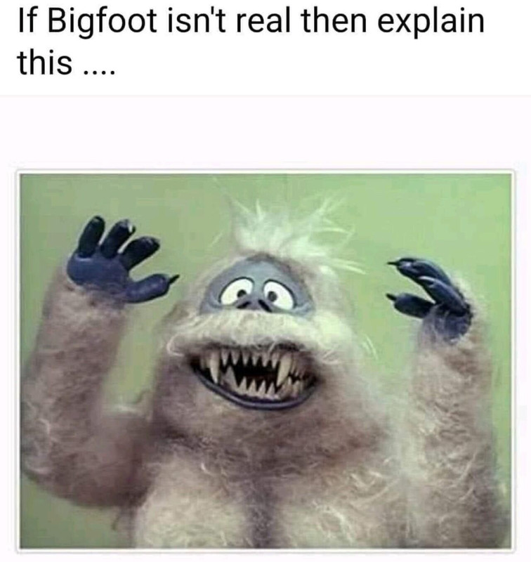 bigfoot is real