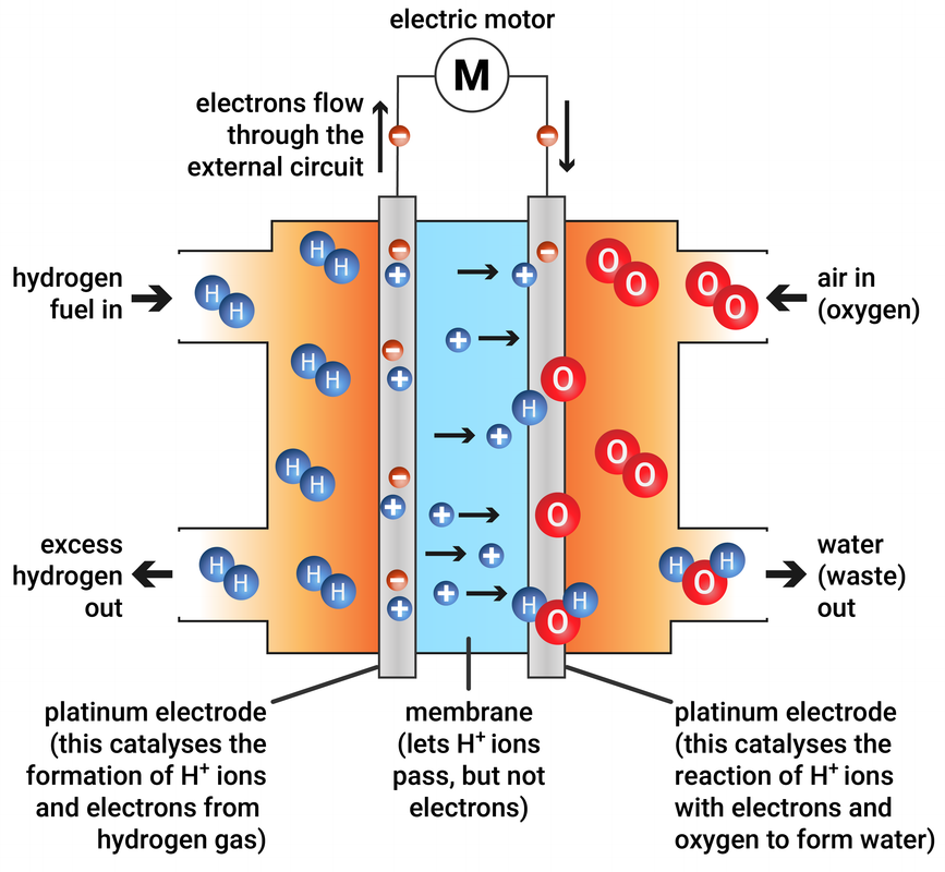 Hydrogen Fuel Cell