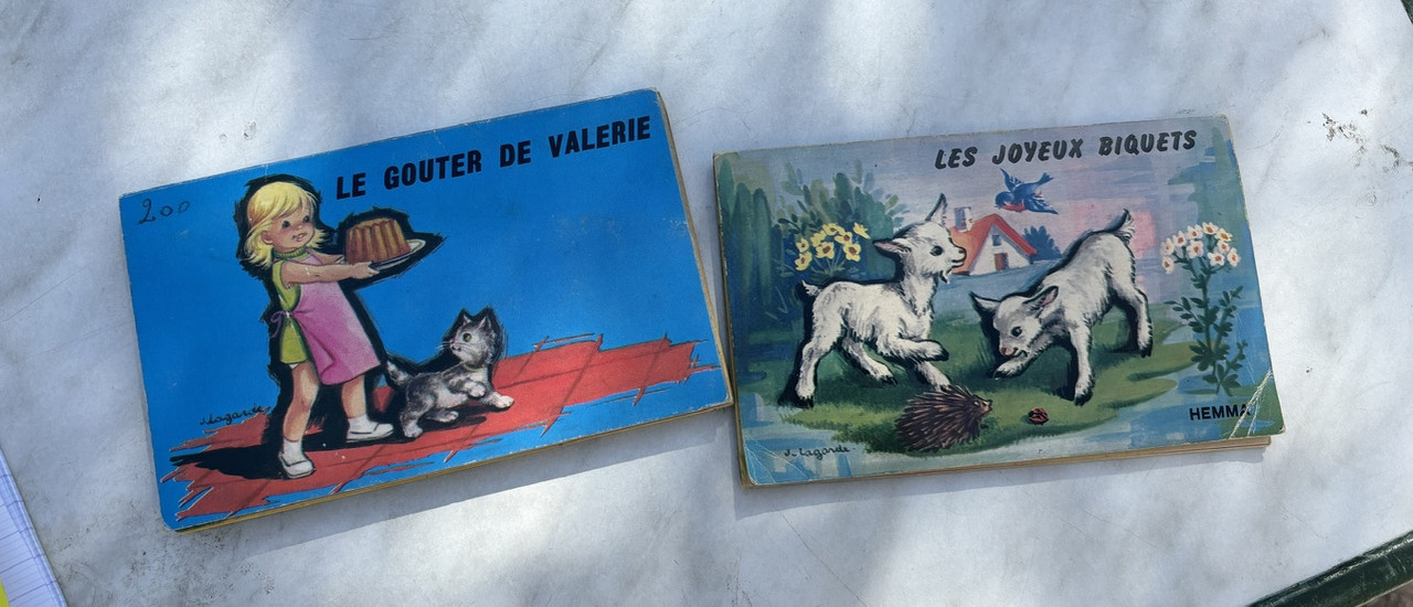 CB7C3DDD-530A-40D5-B234-0BC57AE4EC70_1_105_c