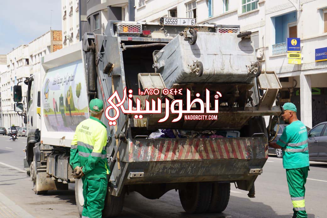 Whats-App-Image-2026-05-25-at-15-18-40-(3)