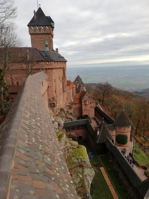Puente de la Inmaculada 2022 en Alsacia - Blogs de Francia - ALSACIA EN NAVIDAD VISITANDO EL CASTILLO DE ALSACIA, COLMAR Y ESTRASBURGO. (1)