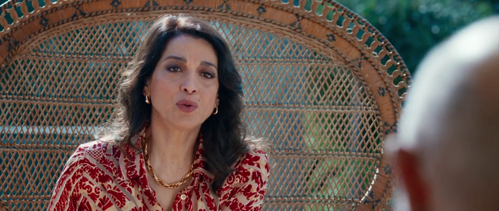 vlcsnap-2025-07-29-10h36m48s375