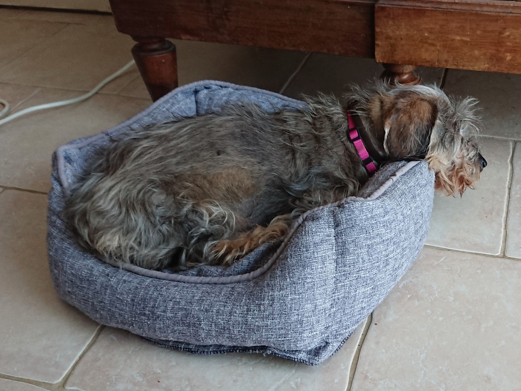 [Image: DSC-2911.jpg]