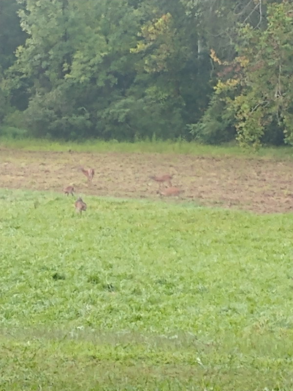 IMG_20220817_074429921