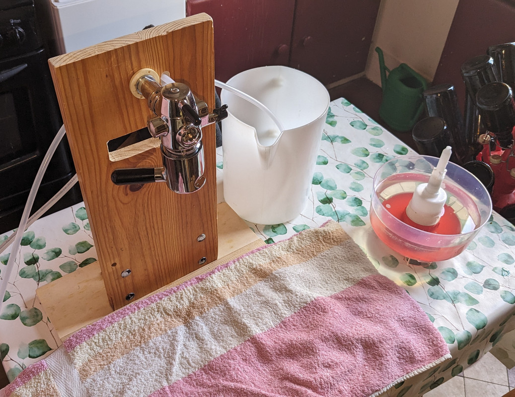 PXL_20240413_130216014