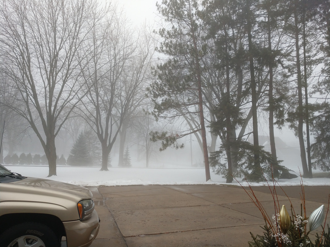 Fogfest