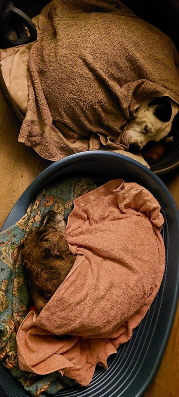 5AB79C6A-7628-42D1-ABA4-4573710F41EE