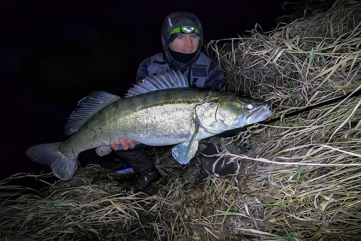 02C47EE4-6294-44C3-BA1C-F52BBEECE6DE