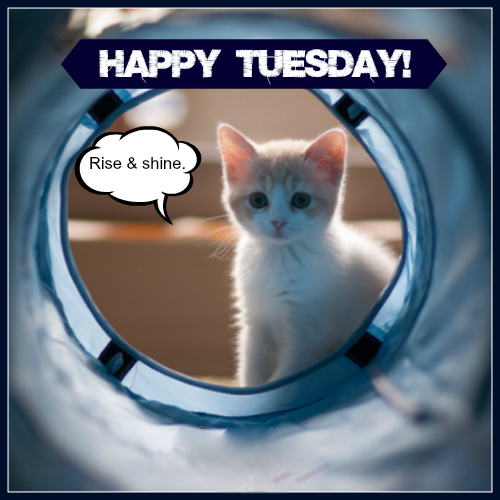 TUESDAY-mardi-14