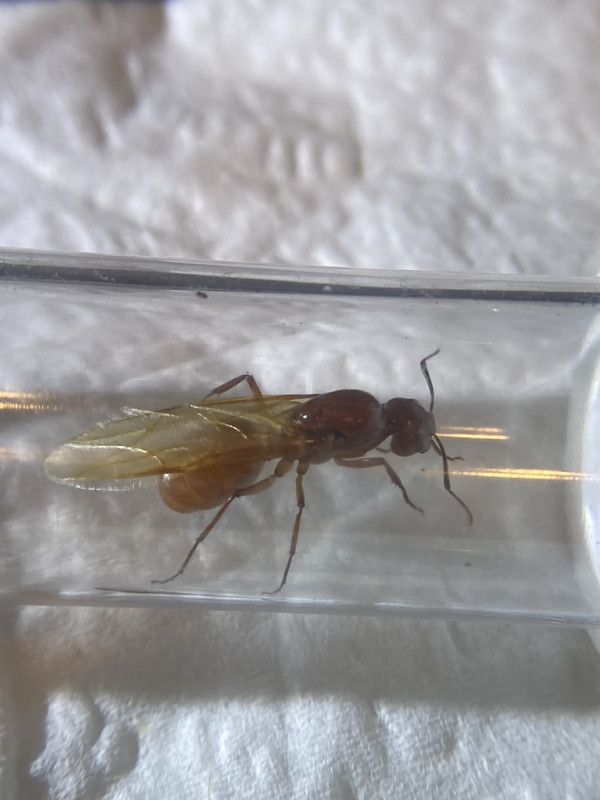 A2FFCBFF-E433-4CAF-B750-567CF24AD04C