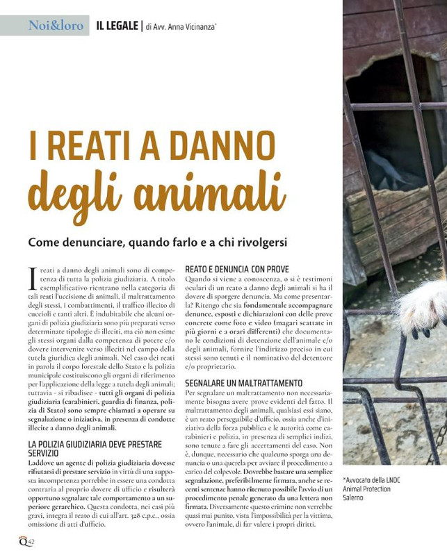 QuattroZampe Ott 2021 (1)