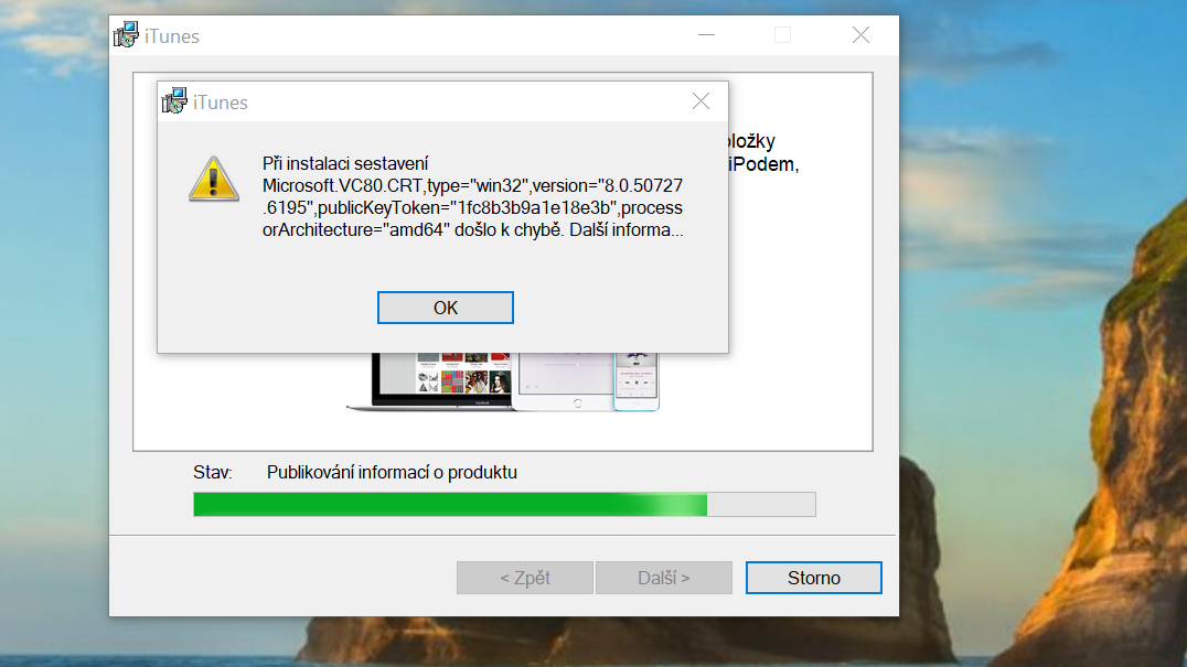 Snímek obrazovky (1)