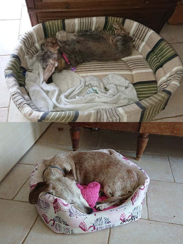 [Image: probl-me-de-pani-re.jpg]