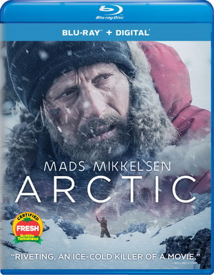 Arctic (2018) .mkv iTA-ENG Bluray 1080p x264