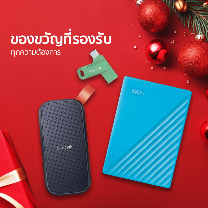 Western Digital4