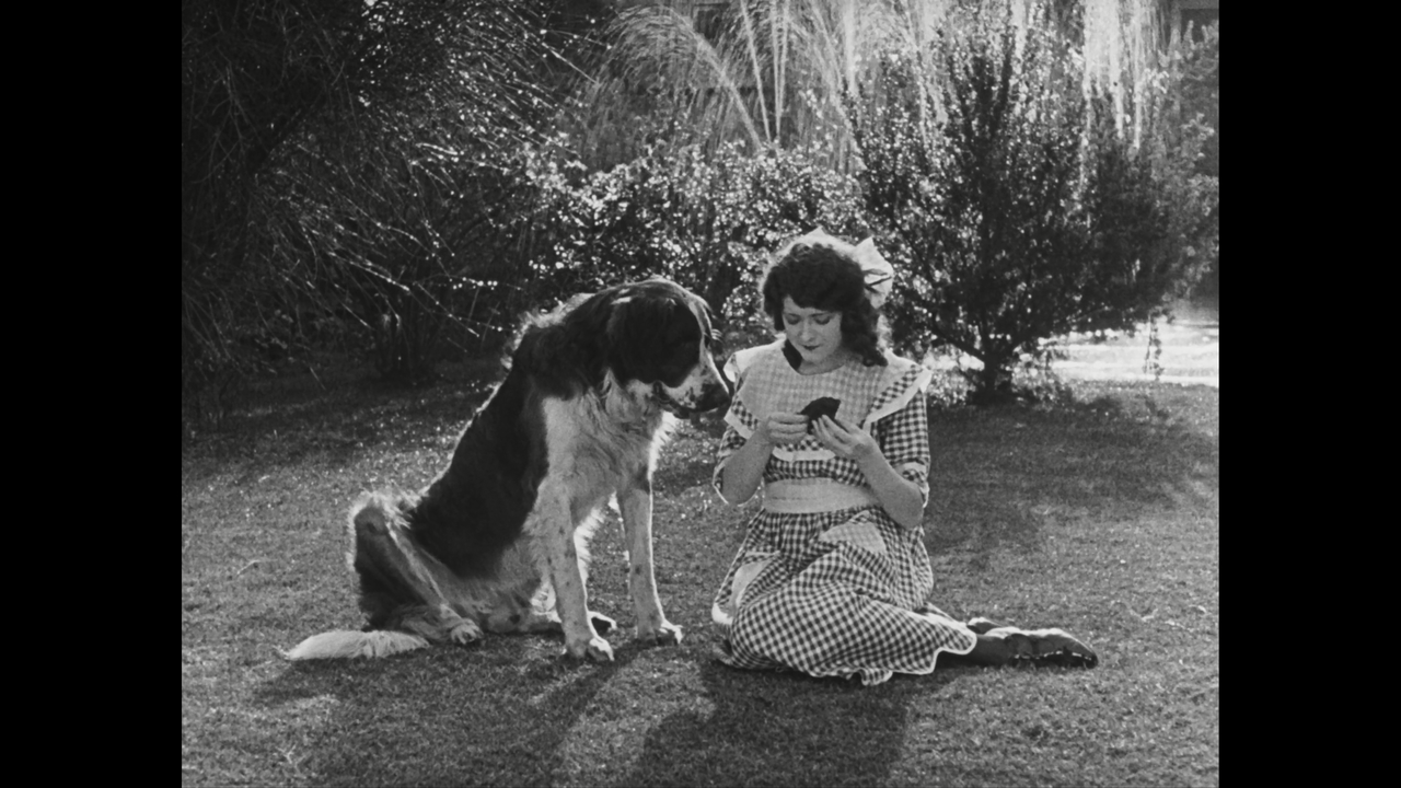 Sherlock Jr 1924 MoC Bluray BDrip 1080p x265 FLAC 2.0 D0ct0rLew[