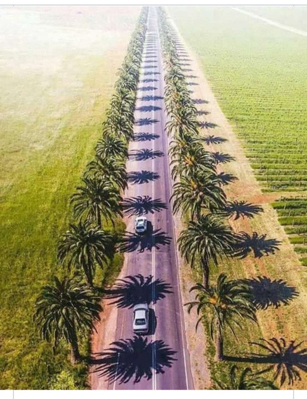 Screenshot-2021-08-08-12-18-20-458-com-a