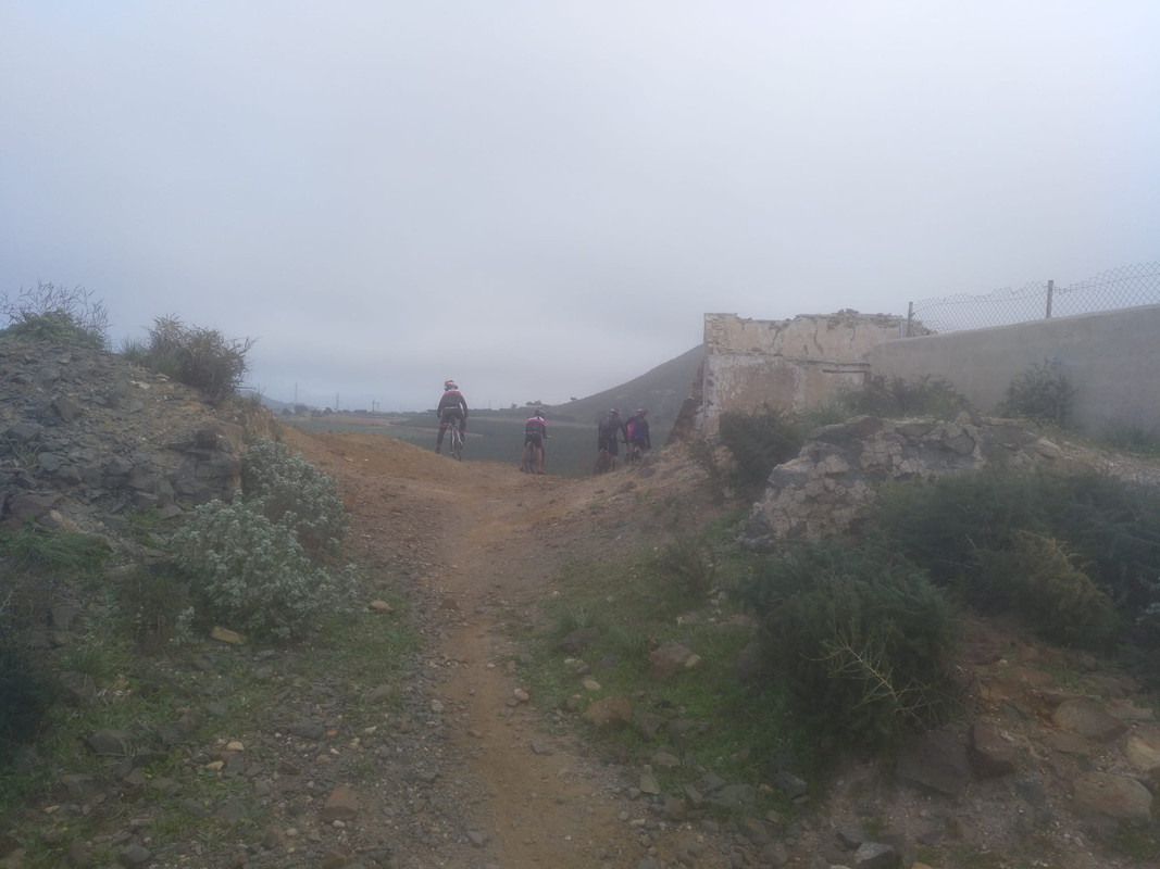 ASNOVESTRE ASNO BEJAR (6)