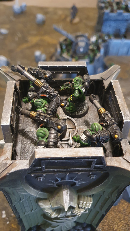 20211101_Salamanders_Taus (5)