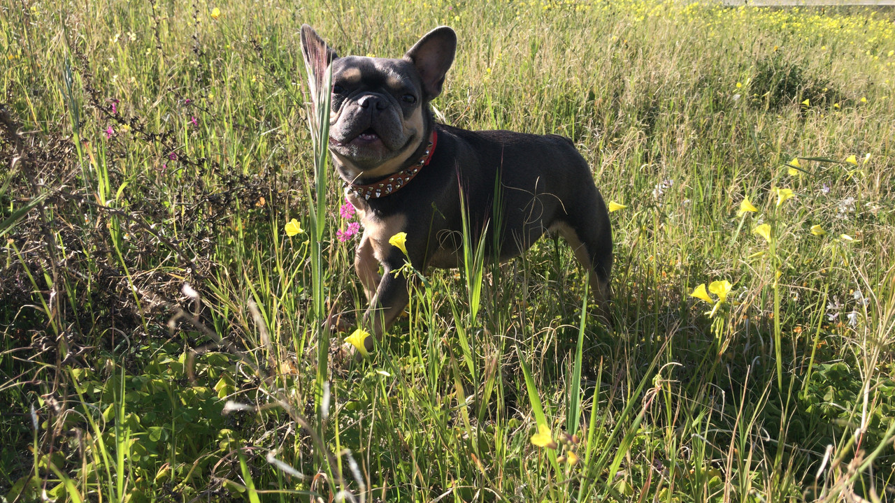 B3457D5D-E248-4D7B-8468-3BEDCA3E5890