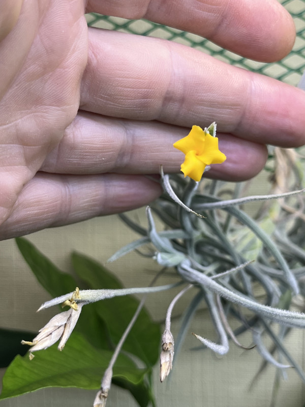 10FC377E-3A90-40FE-B774-B9EB77D0F6B3