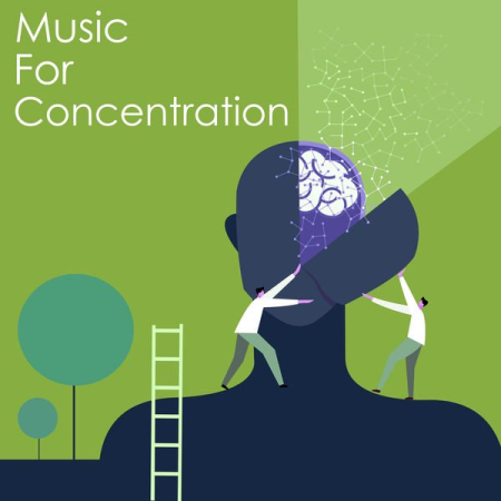 VA - Music for Concentration: Schubert (2022)