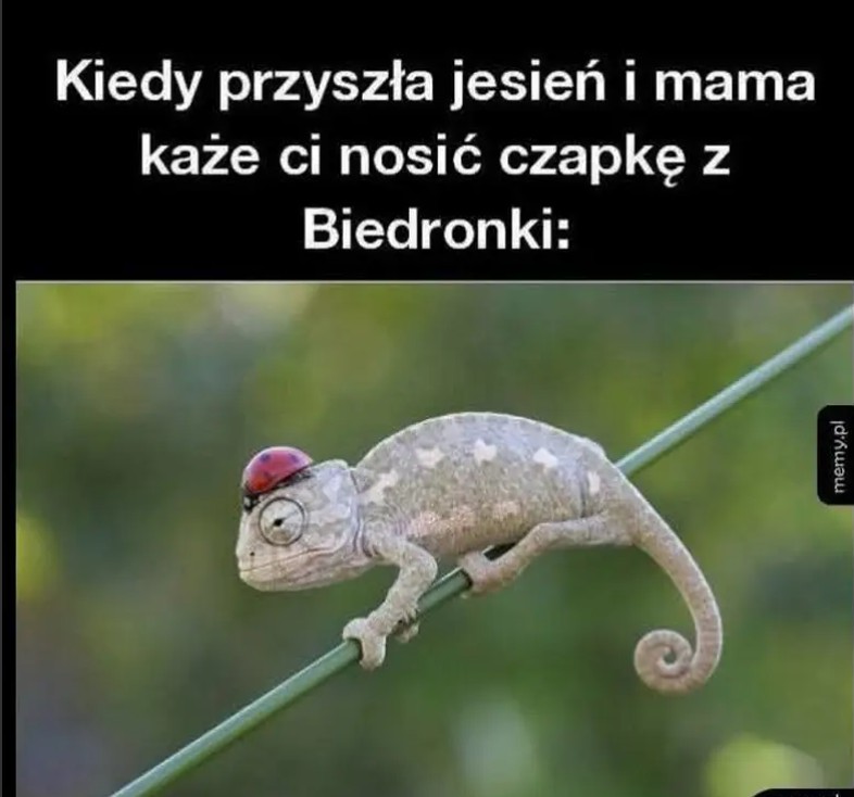 Screenshot_20250924-165223~2