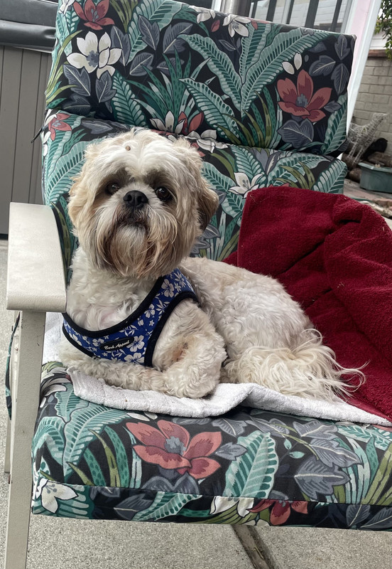 93FCD91C-4A21-4071-ADFC-E380312EE061_1_201_a