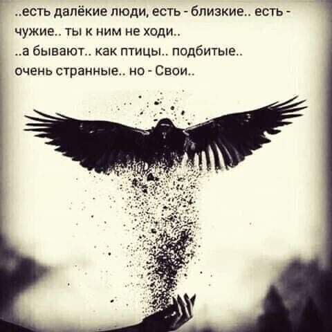 [Изображение: photo-2025-10-15-10-36-40.jpg]