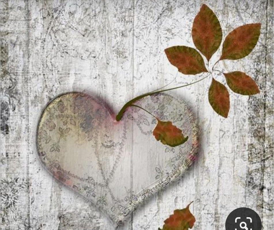 Screenshot_20240214_171913_Pinterest